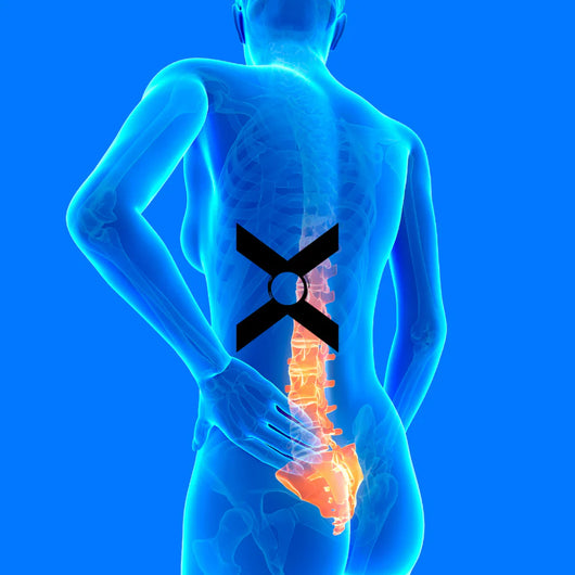 LumbarX Back Belt™
