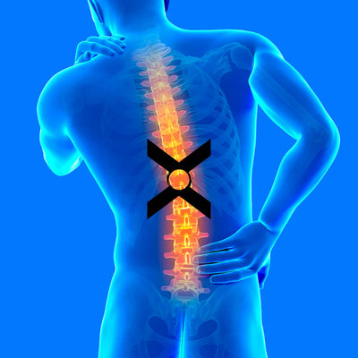 LumbarX Back Belt™
