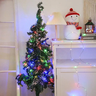 HolidayLights  -  Holiday Decorative Lights™