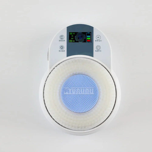BodyWhirl - Power Brush Scrub™