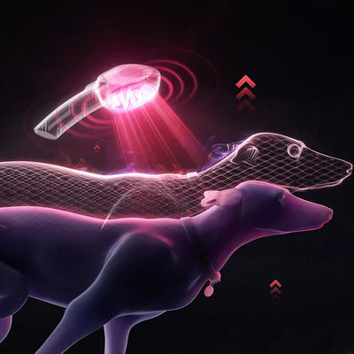 ColdCure - Laser Therapy Device™