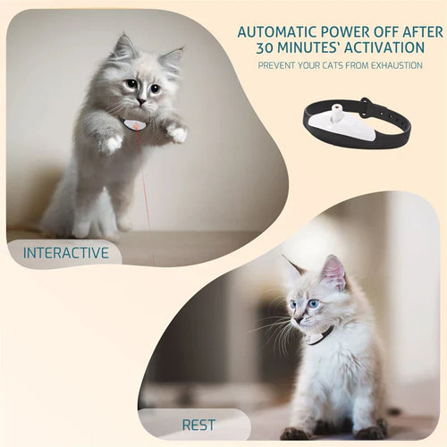 CatChase - Laser Collar for Pet™