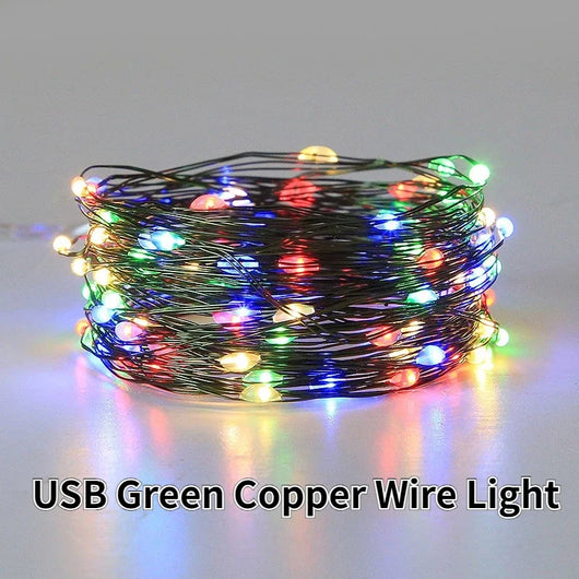 HolidayLights  -  Holiday Decorative Lights™