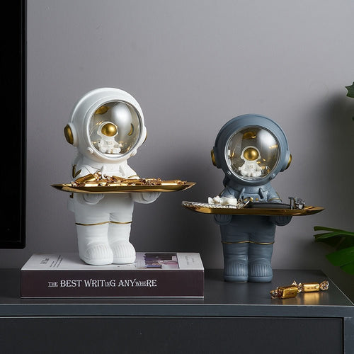 Astrotray - Astronaut Storage Tray™