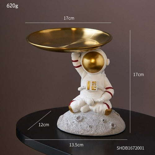 Astrotray - Astronaut Storage Tray™