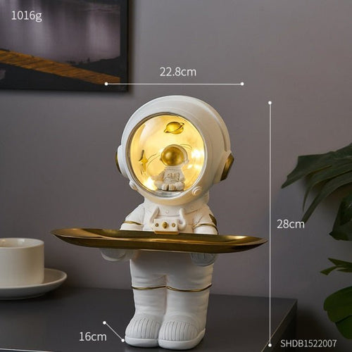 Astrotray - Astronaut Storage Tray™