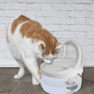 AutoDrink™ - Self Drinking Machine For Pets - TumTum