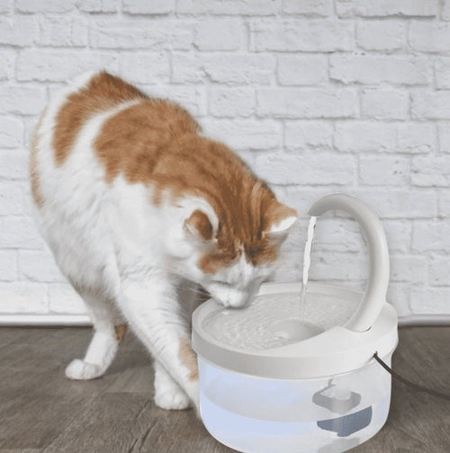 AutoDrink - Self Drinking Machine For Pets™