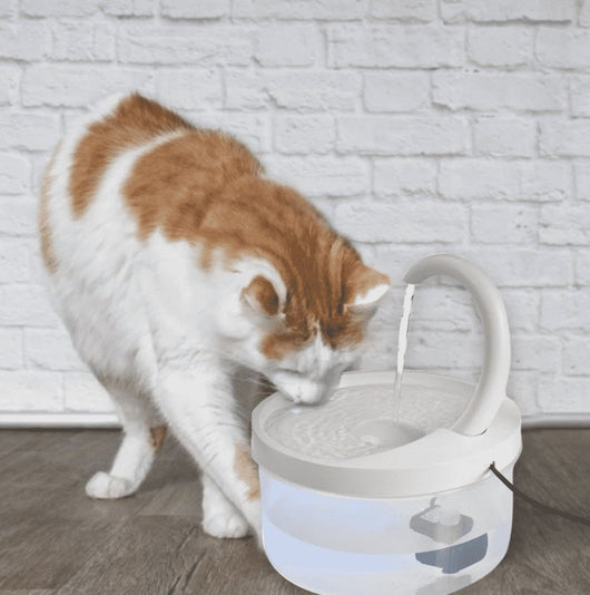 AutoDrink™ - Self Drinking Machine For Pets - TumTum