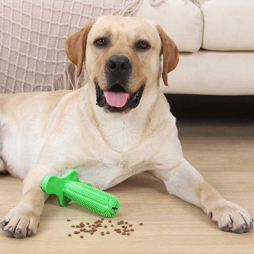 Dogtooth Cleaning Toy™