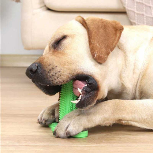 Dogtooth Cleaning Toy™