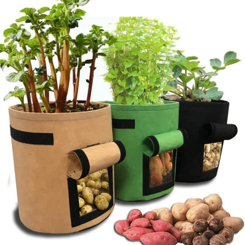 Easy Access Potato Planting Bag™