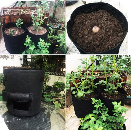 Easy Access Potato Planting Bag™