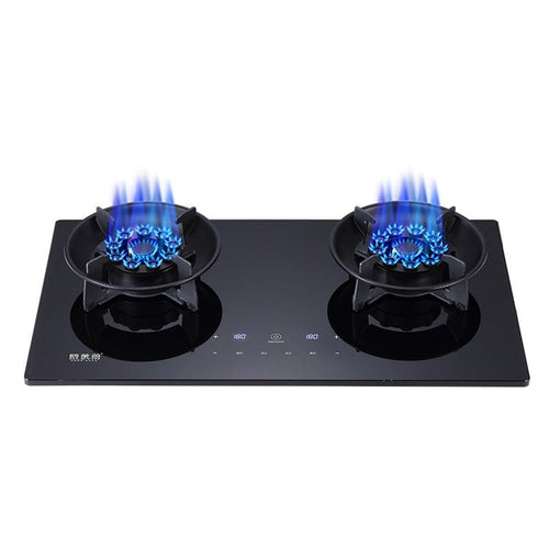 EcoTouch Gas™