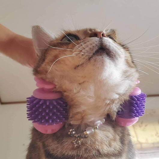 Kitty Tongue Cat Massage Roller | Japan 🇯🇵 #1 Pet Gadget - TumTum