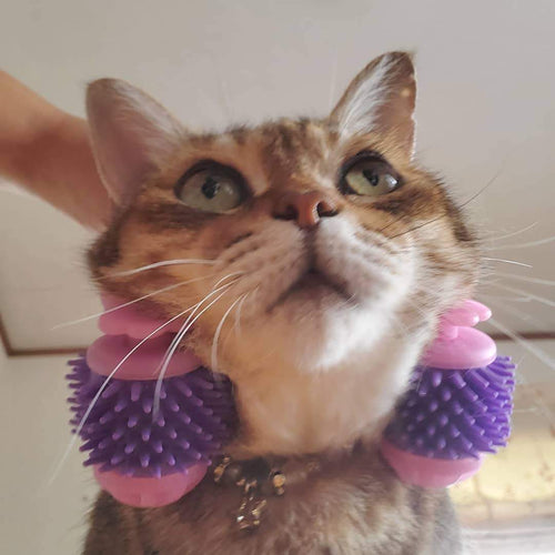 Kitty Tongue Cat Massage Roller  Japan 1 Pet Gadget™