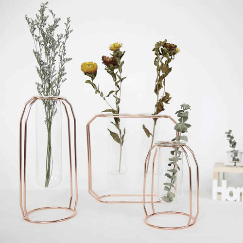 Midcentury Modern Glass and Metal Plant Propagation Stand - Full Package 3 pcs™
