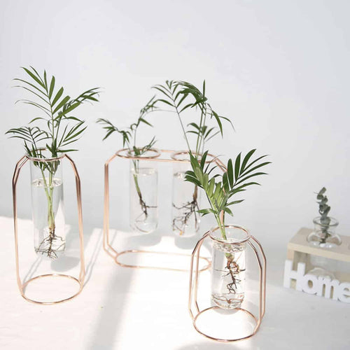 Midcentury Modern Glass and Metal Plant Propagation Stand - Full Package 3 pcs™