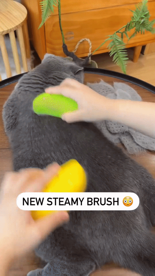 PetSoothe - Pet Power Spray Massage Comb™