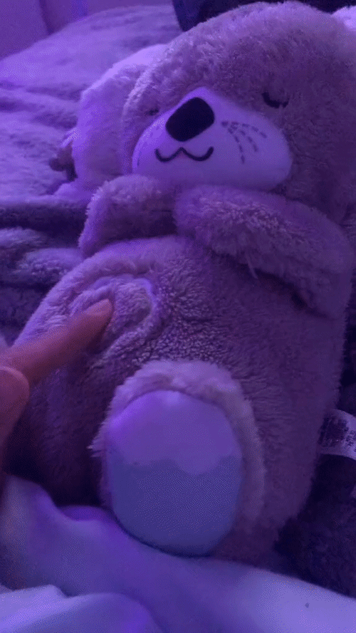 QuietCove - Soothe N Snuggle Otter™