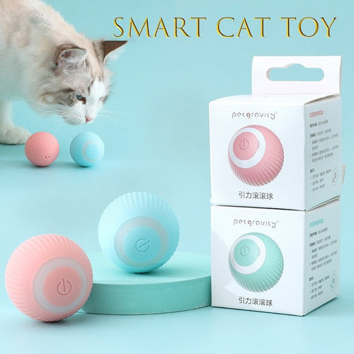 RollingPurr ™