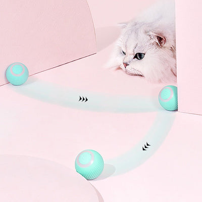 RollingPurr ™ - TumTum