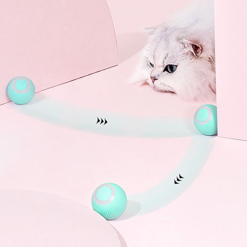 RollingPurr ™