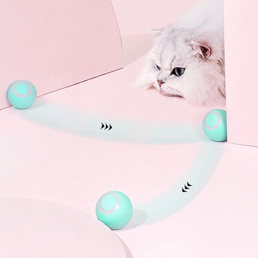 RollingPurr ™ - TumTum