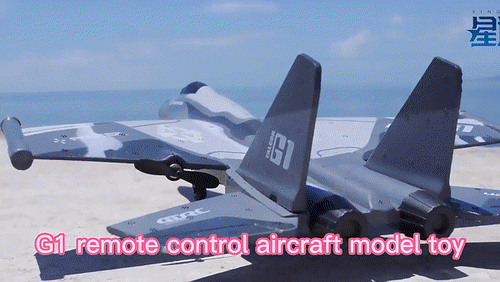 SkyGlide - 24GHz J20 RC Fighter Plane™