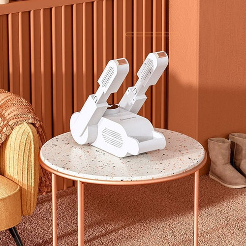 Smart Shoe Dryer™
