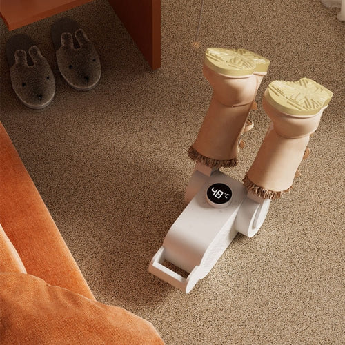 Smart Shoe Dryer™