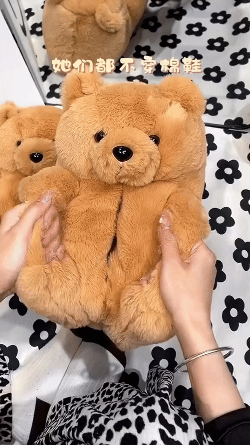 TeddyToes - Cute Teddy Bear Plush Shoes™