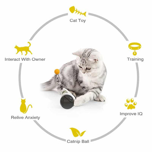 Toy Friend Cat™